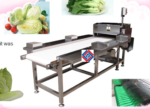 Hob Type Vegetable Cutter TJ-309