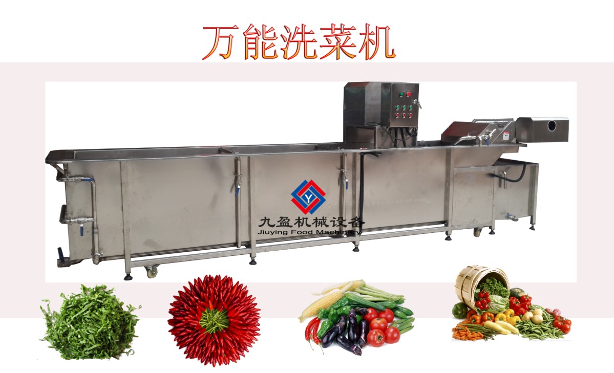 Multifunction Vegetable Washer JY-5000