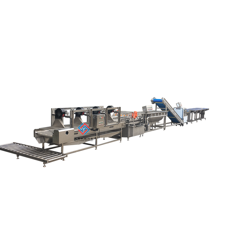 JY-SCX Fruit and Vegetables Processing Line 1500kg/h