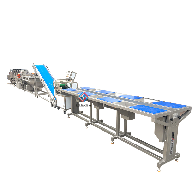 JY-SCX Vegetables Production Line 1000~1500kg/h